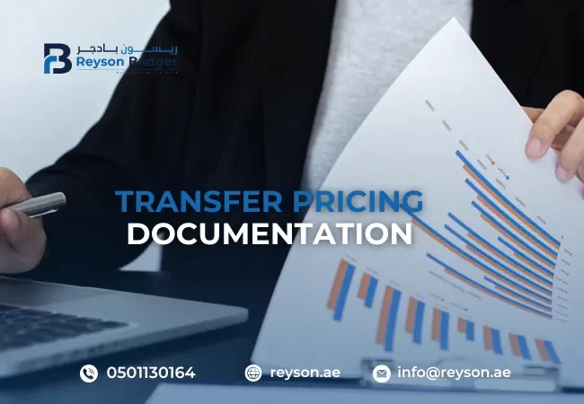 Transfer Pricing Documentation