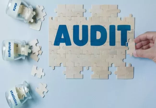 Annual Audit in UAE