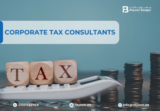 Corporate Tax Consultants