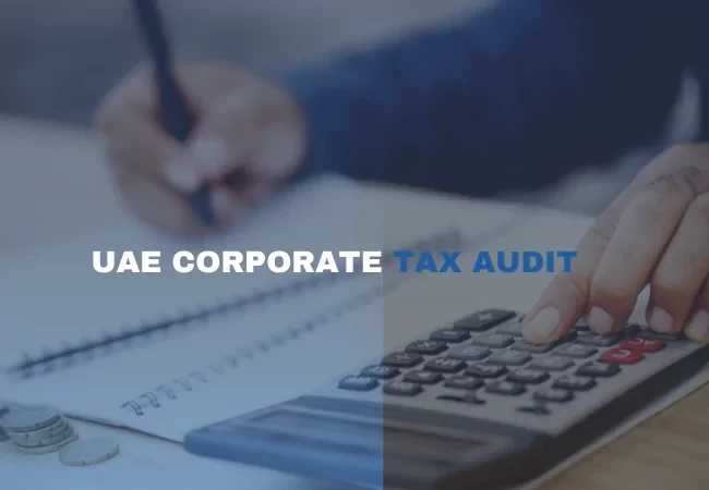 Corporate Tax Audit