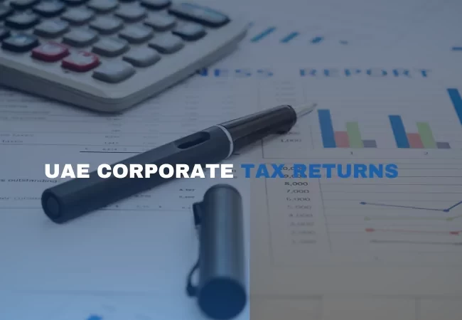 Corporate Tax Returns